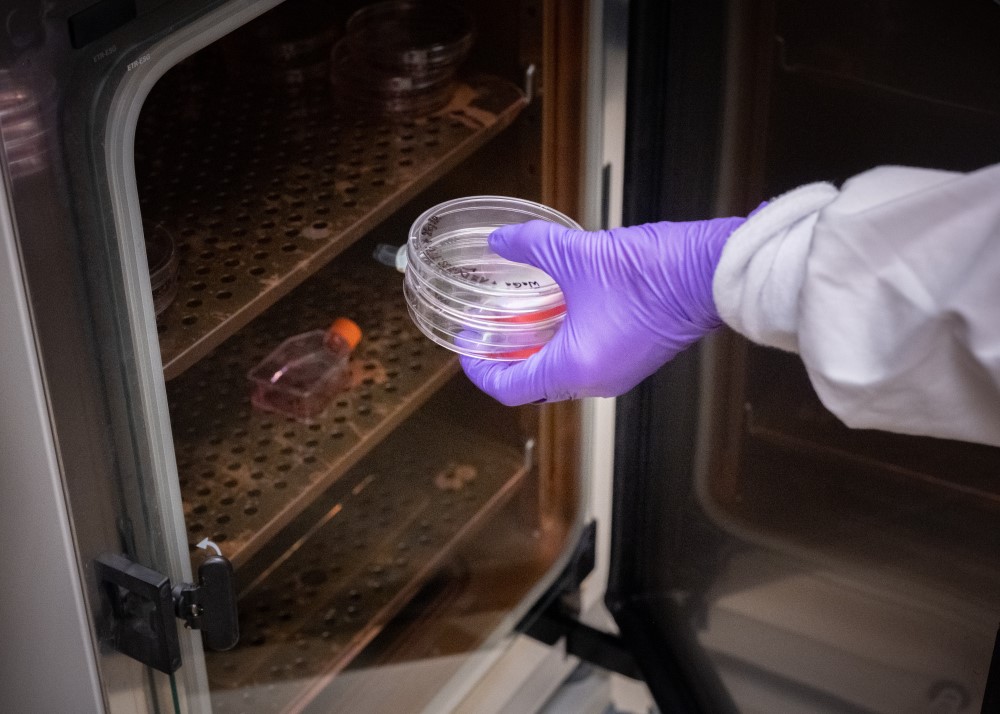 Researcher holding petri dish 